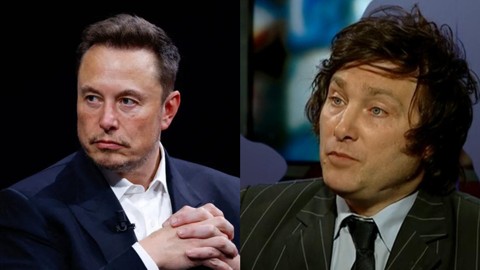 Elon Musk / Javier Milei