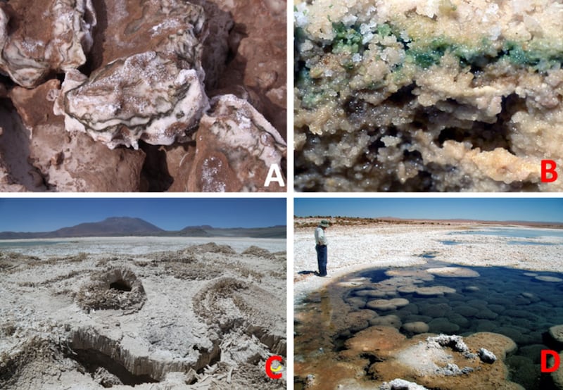 Imagenes del estudio / Nature