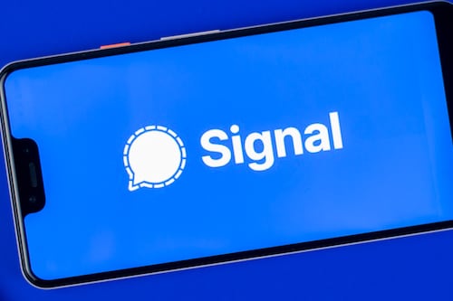 Signal añade función que supera nuevamente a WhatsApp