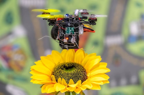 Abejas mecánicas: Científicos crean un pequeño dron polinizador