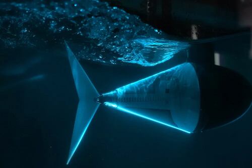 Fabrican un atún robótico que imita exactamente todos los movimientos del pez real y explican la intención de su creación
