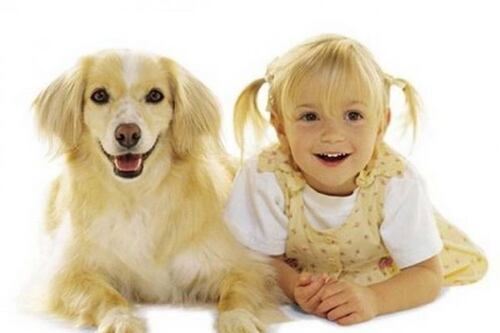 Proponen nueva fórmula para calcular la edad de los perros