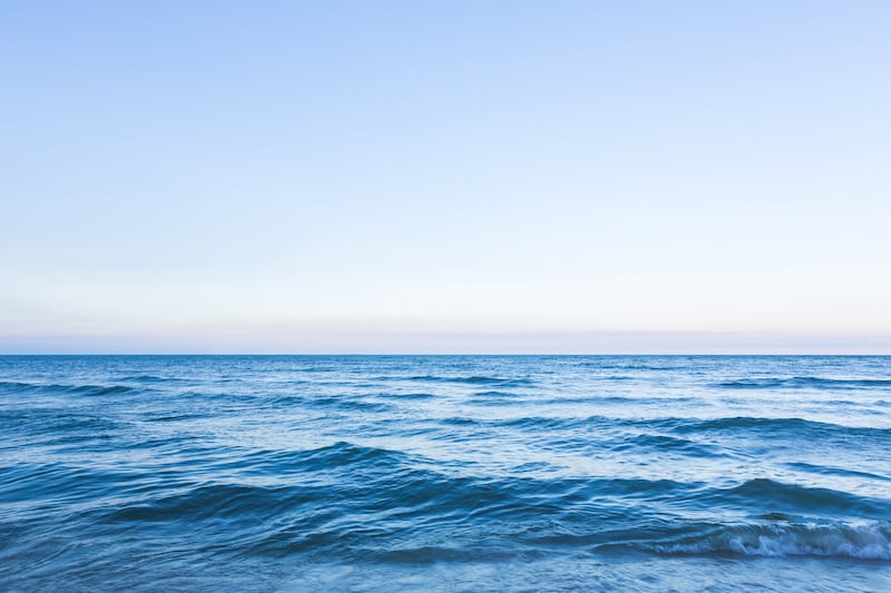 Las fotografías ganadoras del concurso “Fotógrafo submarino del año” nos muestran la belleza y lo impresionante de la vida submarina. Foto: Freepik.