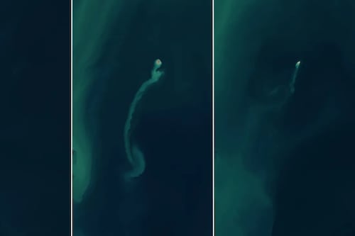 Esta isla nació y murió en solo dos años: Su corta vida fue seguida por la NASA