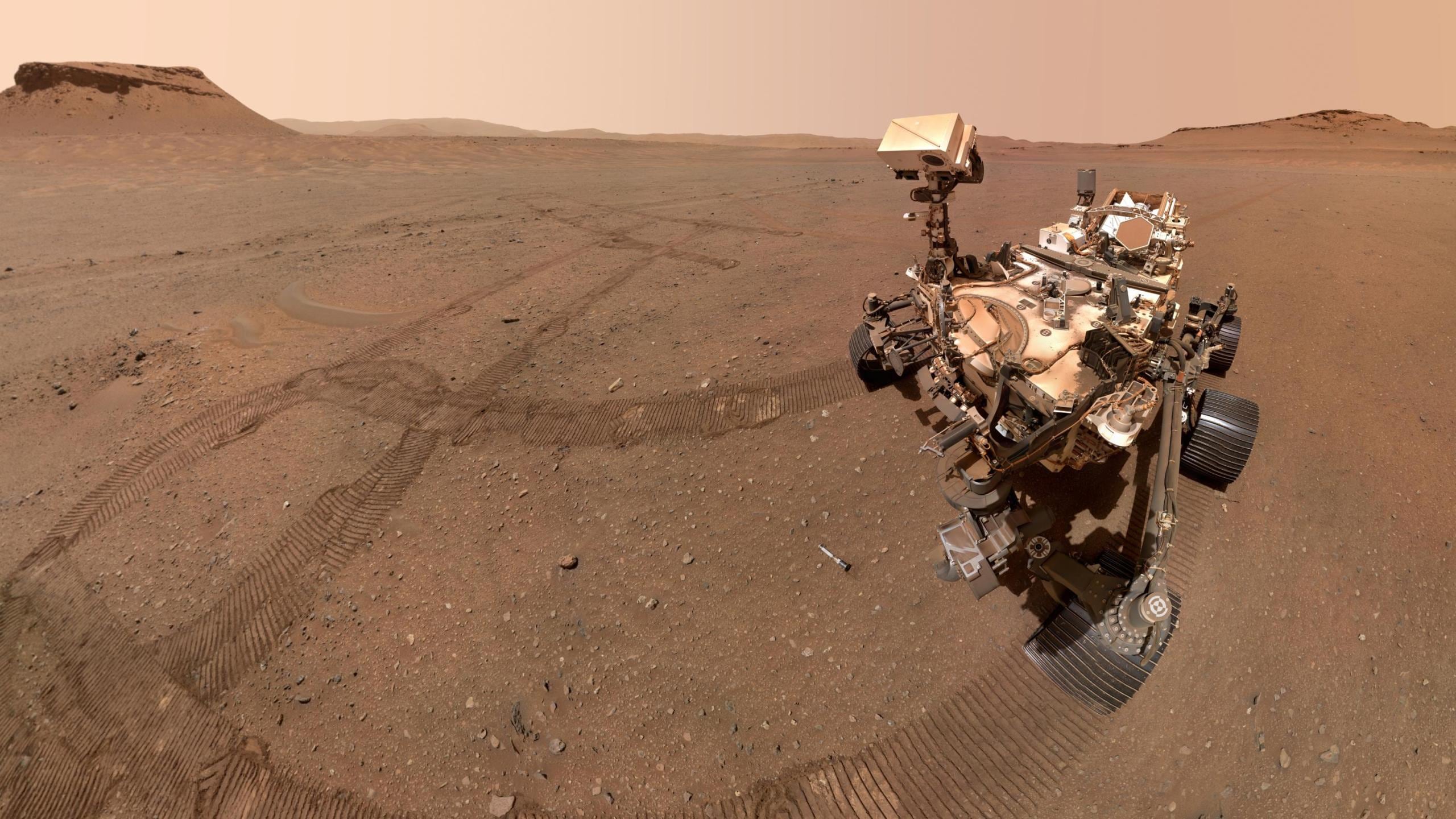 El rover Perseverance de la NASA se sacó esta selfie mirando hacia uno de los 10 tubos de muestras almacenados en el depósito que creó en un área apodada “Three Forks”. Crédito: NASA/JPL-Caltech/MSSS