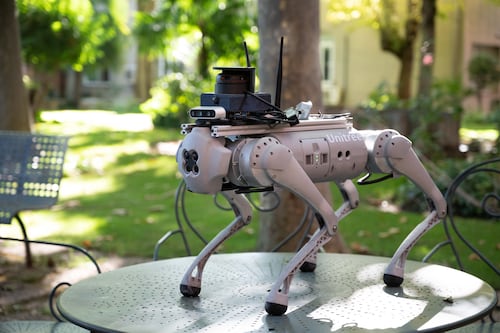 Gatos, perros y aves robots son las nuevas soluciones para la “epidemia de la soledad”