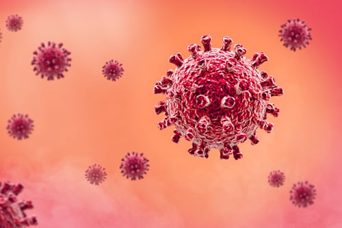 ¿Una nueva pandemia? La advertencia de un virus peor que la covid-19 que alerta al mundo
