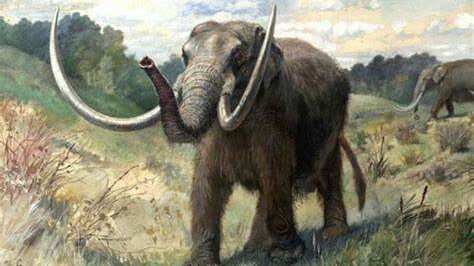Mastodonte