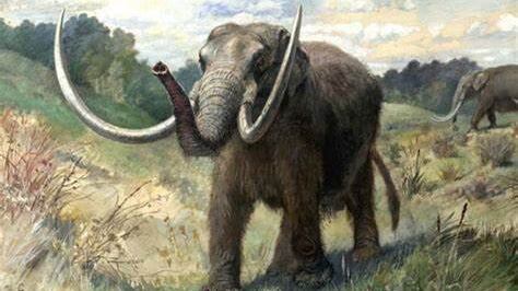 Mastodonte