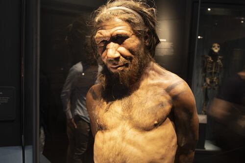 El sexo con humanos condujo a la extinción a los neandertales, según un estudio