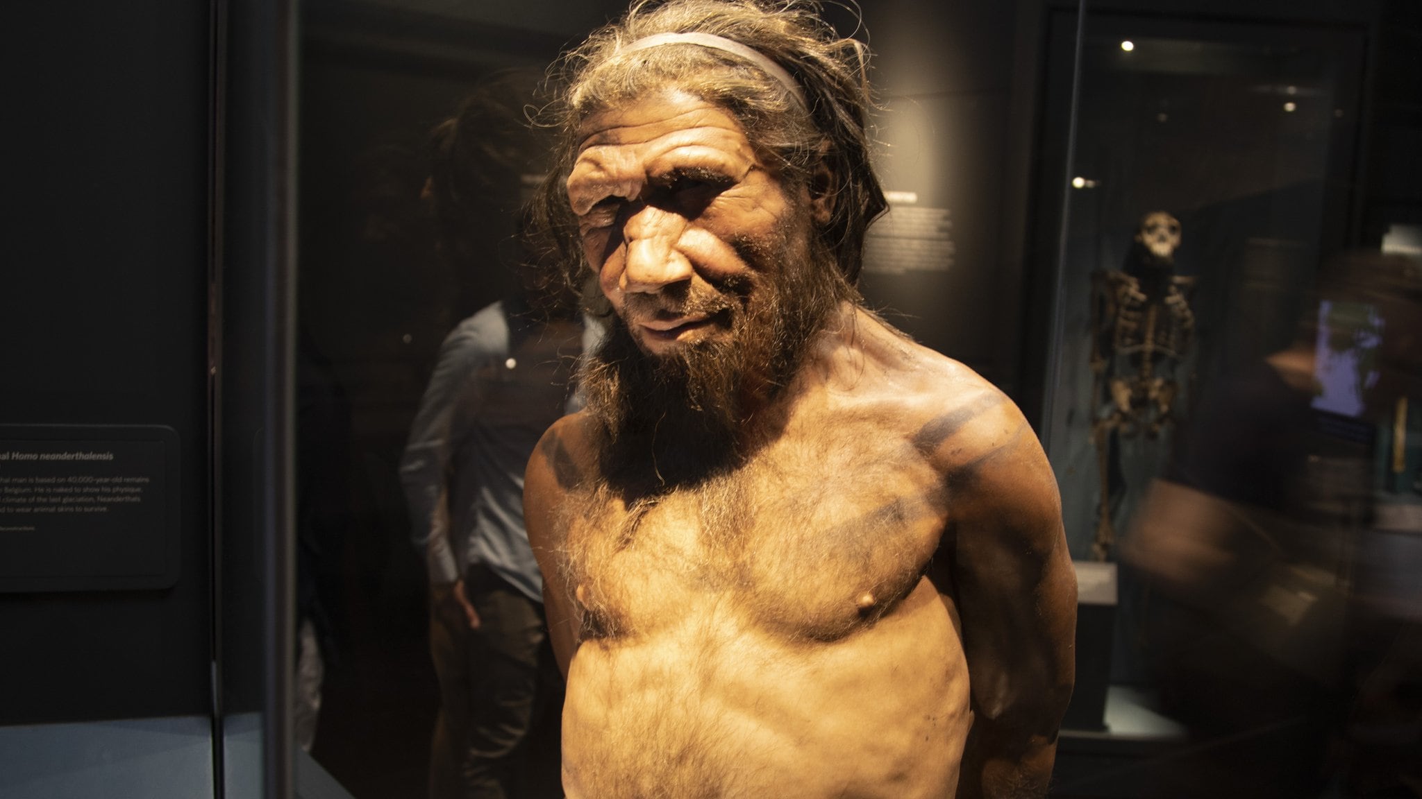 Así eran los neandertales