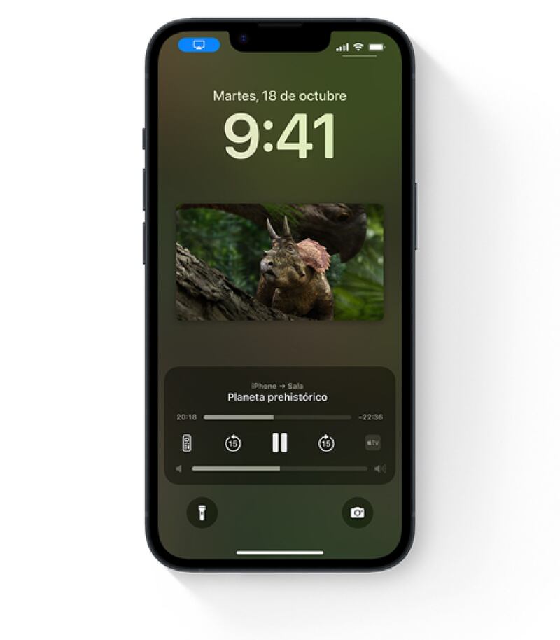 AirPlay