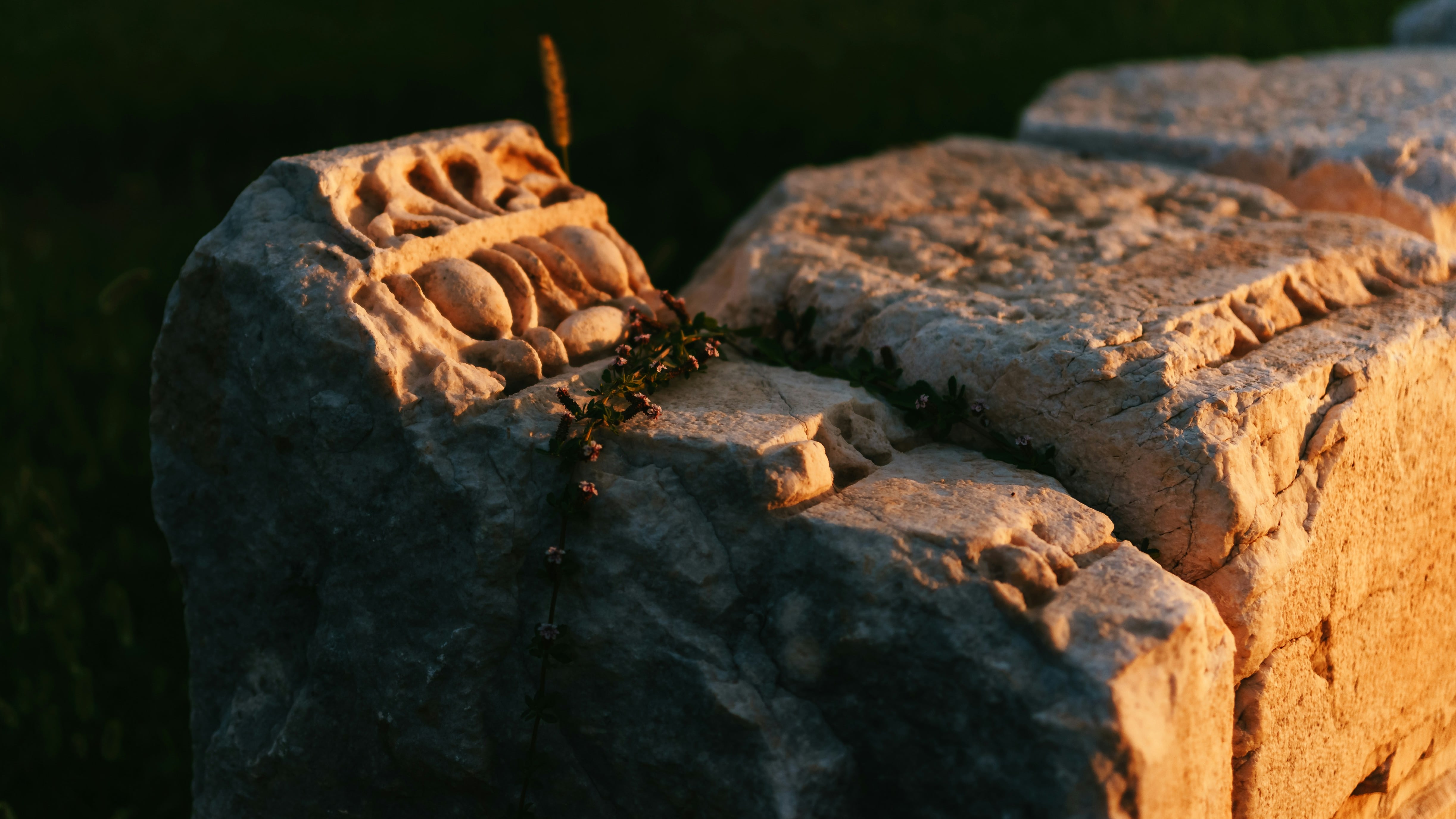 El descubrimiento en Mengxihe no solo es relevante para China, sino que tiene implicaciones globales.