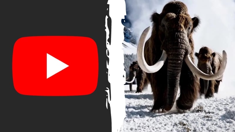 Youtube vs. Sora | Composición