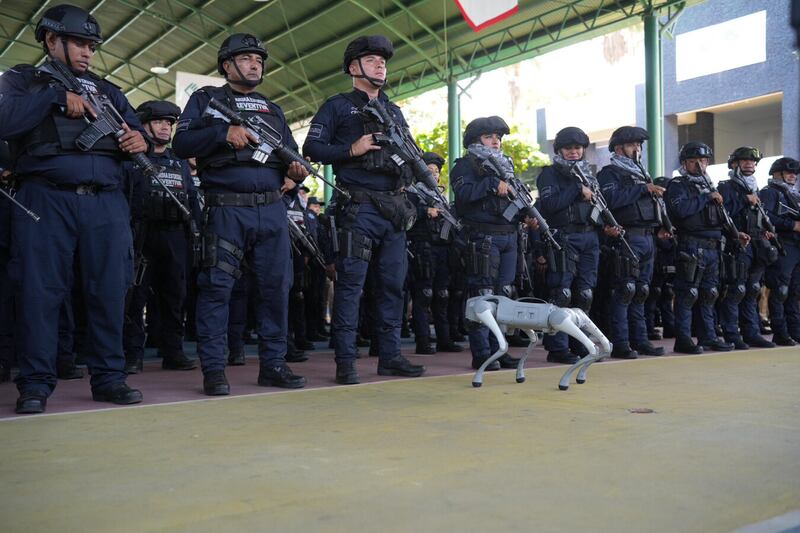 Drones - Frontera de México
