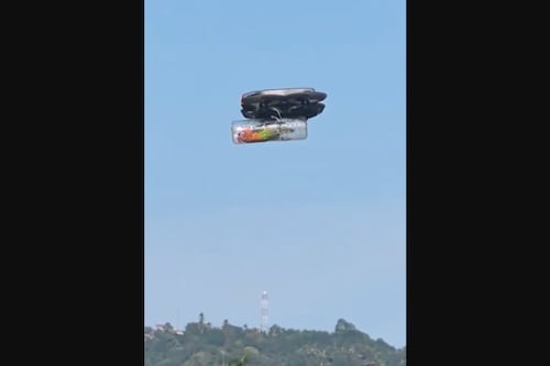 Tecnología con propósito: Cómo un dron diseñado a medida permitió a un ave herida conquistar el cielo nuevamente
