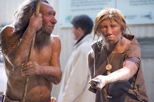 Arqueólogos australianos descubren el elevado nivel de inteligencia de los neandertales hace 400 mil años