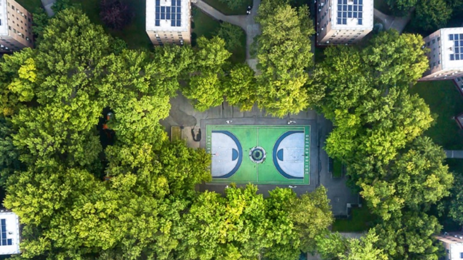 Paneles de zinc de la empresa Eos