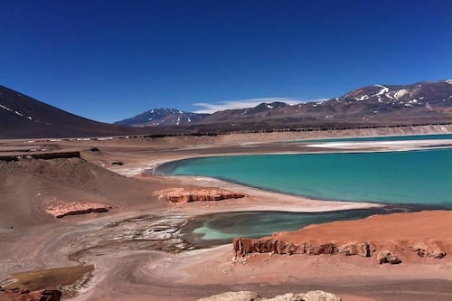 Un extraño ecosistema descubierto en el Atacama podría contener evidencias del origen de la vida en la Tierra
