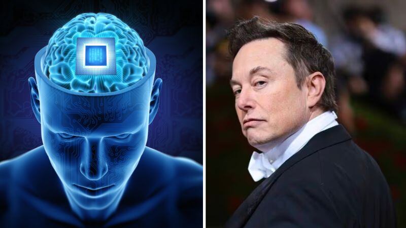 Neuralink de Elon Musk | Composición