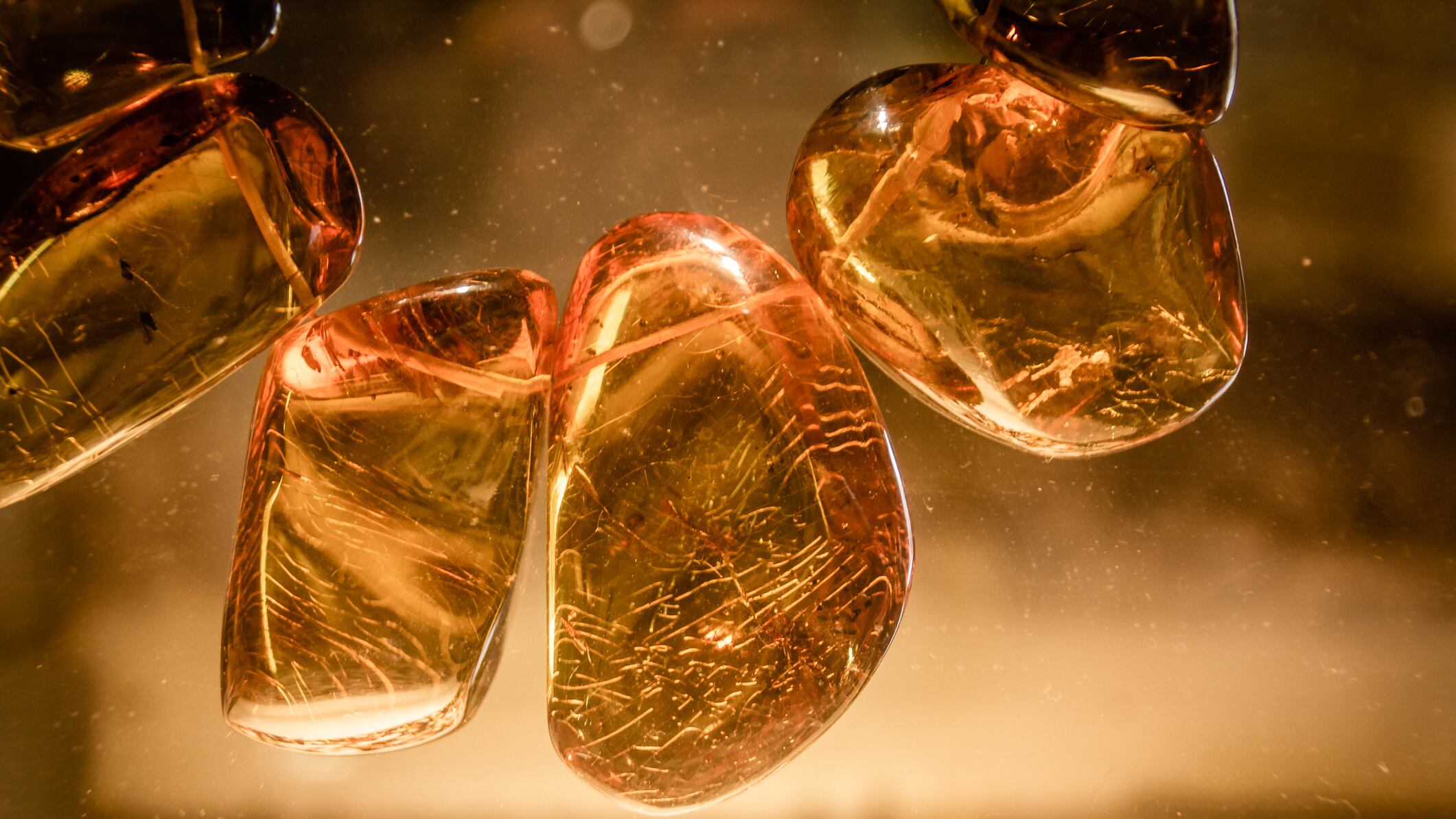 Más de 168 expositores se reunirán para mostrar las piedras y fosilizaciones más impresionantes de la naturaleza