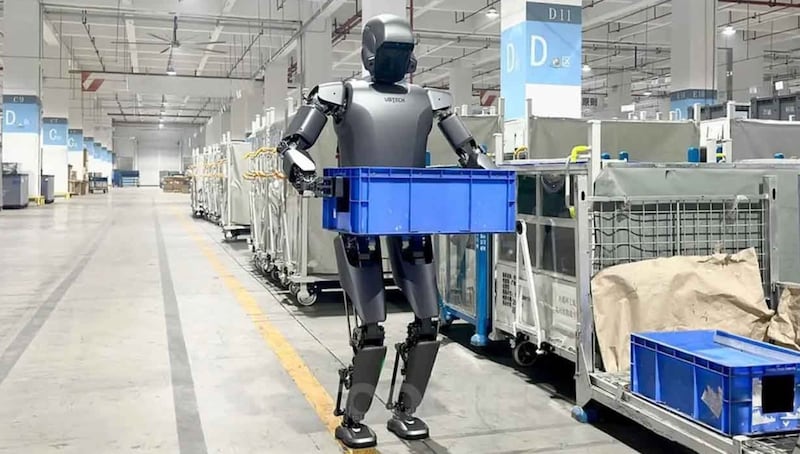 Robots humanoides - Referencial