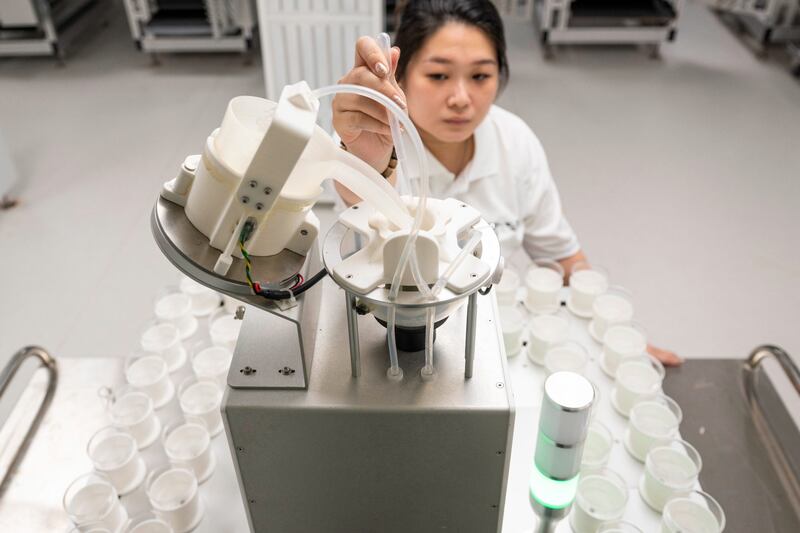 El trabajo con los mosquitos en la NEA, Singapur