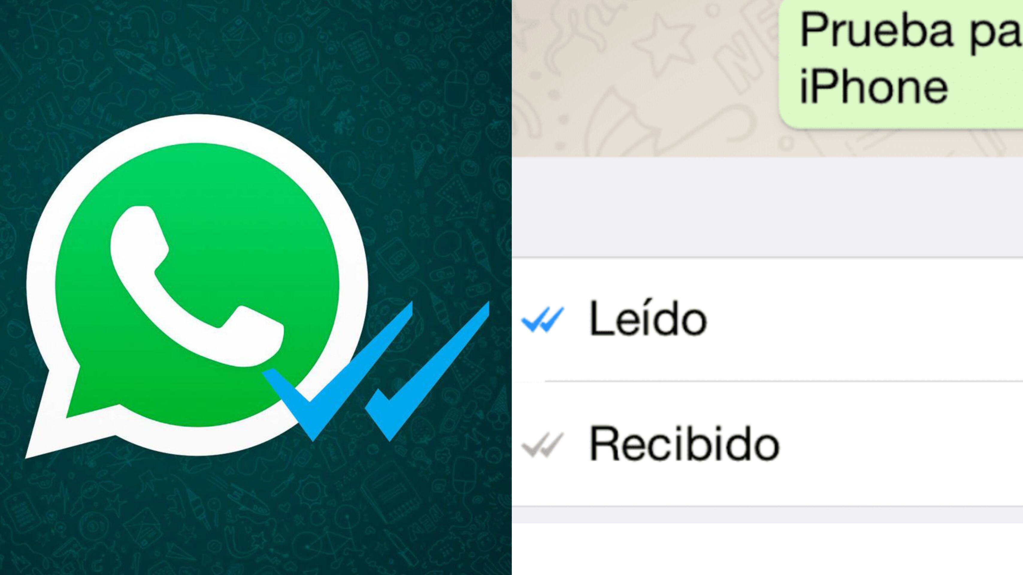 WhatsApp mensajes leídos