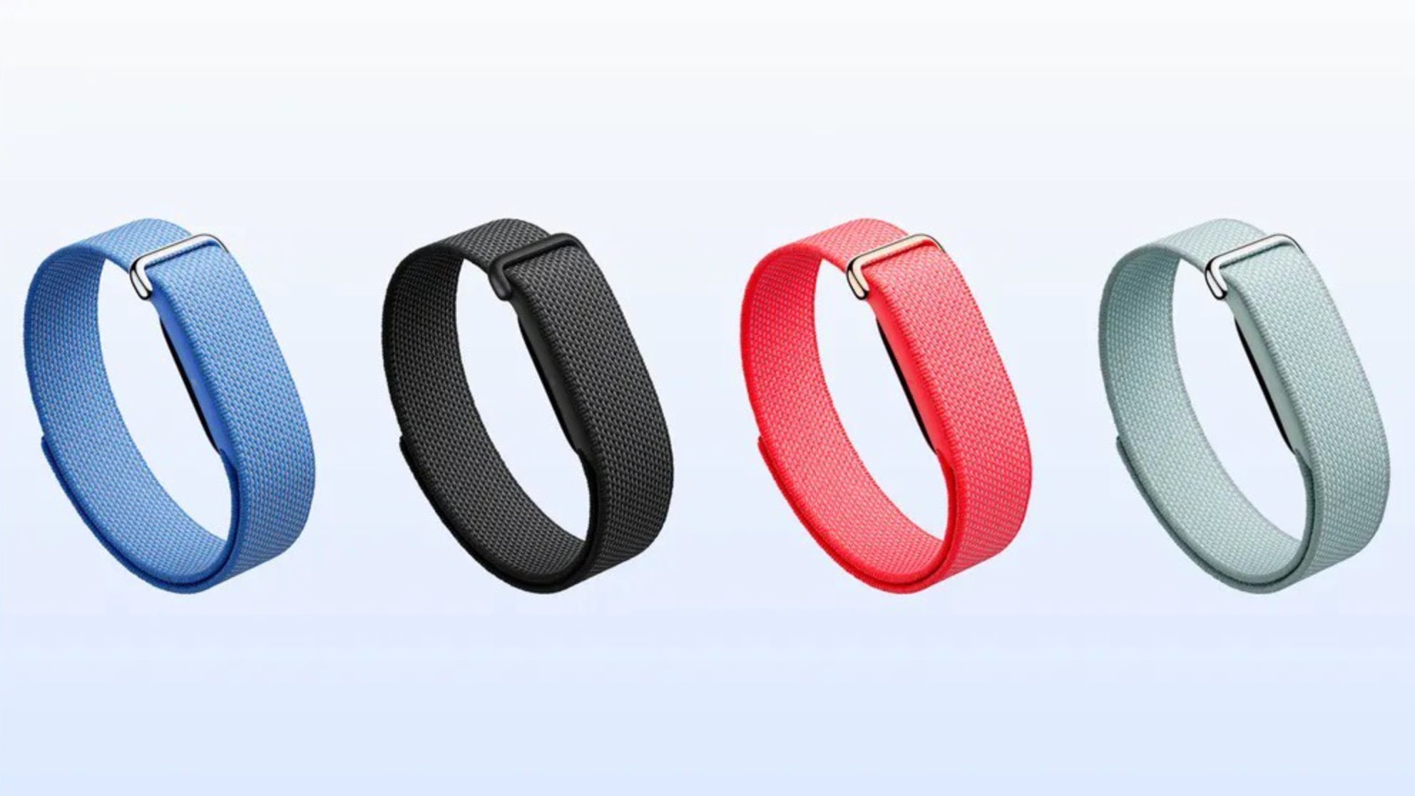 Fitbit Air - Google