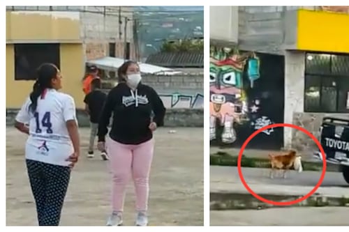 Firulais se lleva el premio antes de que termine la competencia