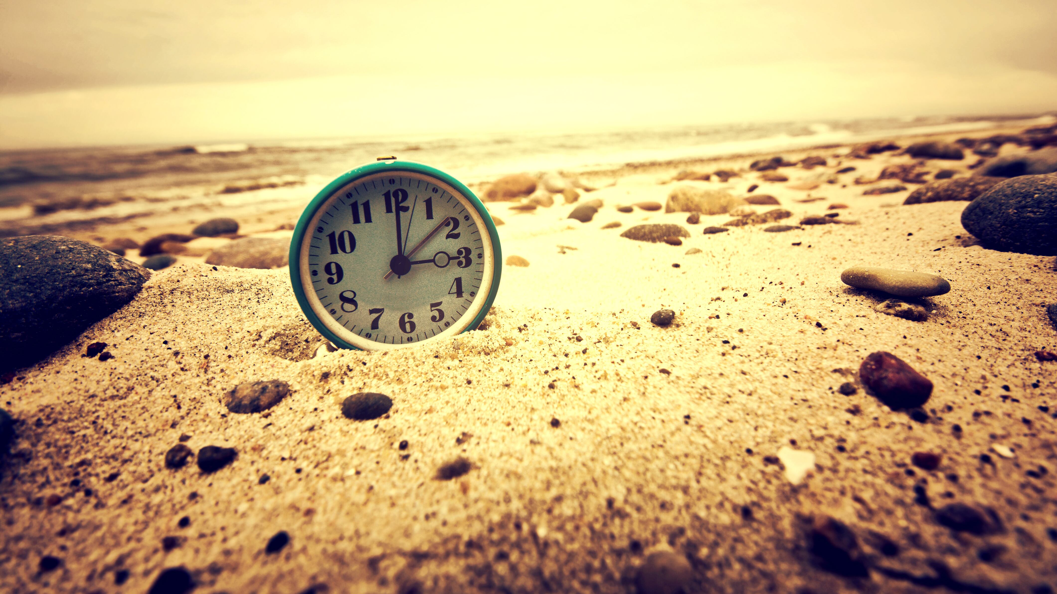 Viajero en el tiempo