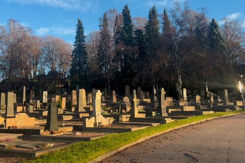 ¿Cuándo realmente dejamos de vivir? Un estudio desafía la definición de muerte