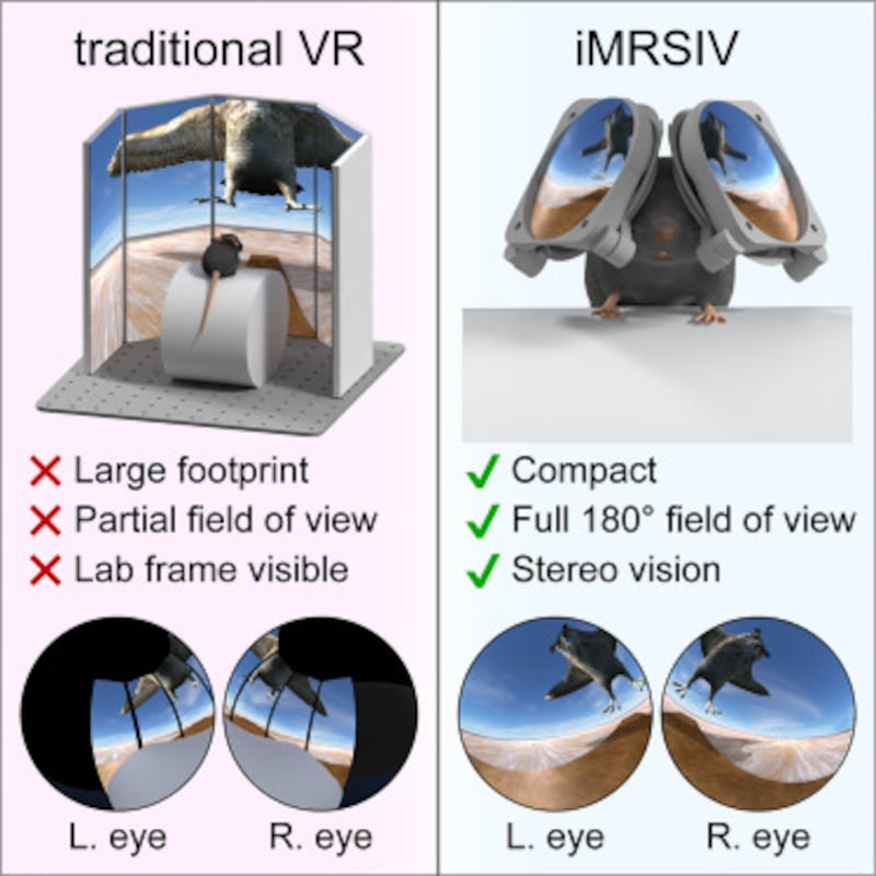 Un grupo de investigadores ha creado un visor de Realidad Virtual para ratones que es ridículamente grande, pero también de gran utilidad.