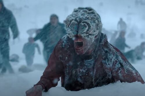 The Last of US: La ciencia revela que el hongo que acaba con la humanidad en la serie existe en la vida real