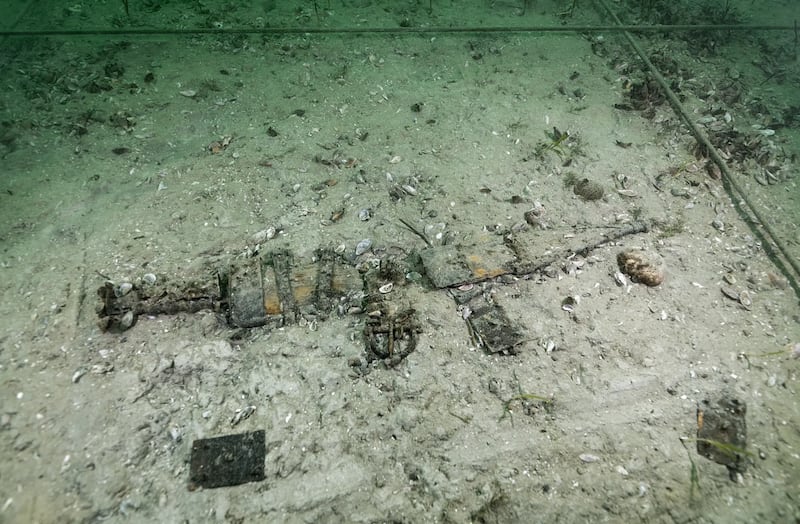 Descubrimiento en Suiza - Fondation Octopus