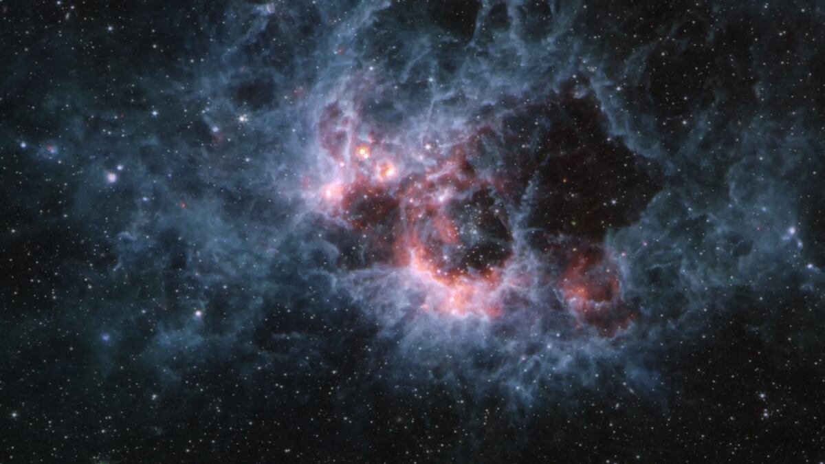 Esta imagen del MIRI (Instrumento de infrarrojo medio) del telescopio espacial James Webb de la NASA de la región de formación estelar NGC 604