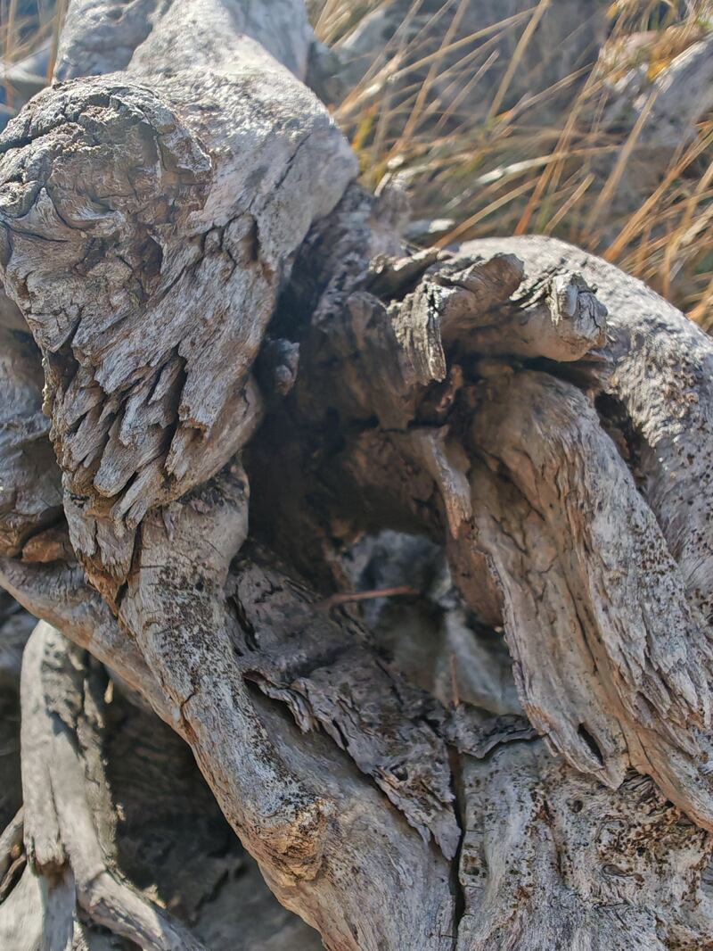 Experiencia cámara Honor - FayerWayer / JP Howard