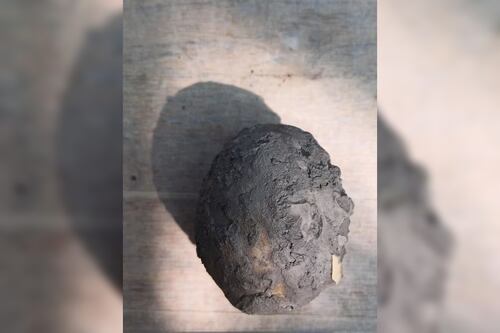 Arqueólogos italianos encuentran un santuario del Imperio Romano en el que había huevos intactos de hace 2.000 años
