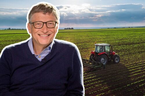 ¿Quién tiene más terrenos en el mundo? El frente a frente entre la Iglesia Católica, Bill Gates y McDonald’s