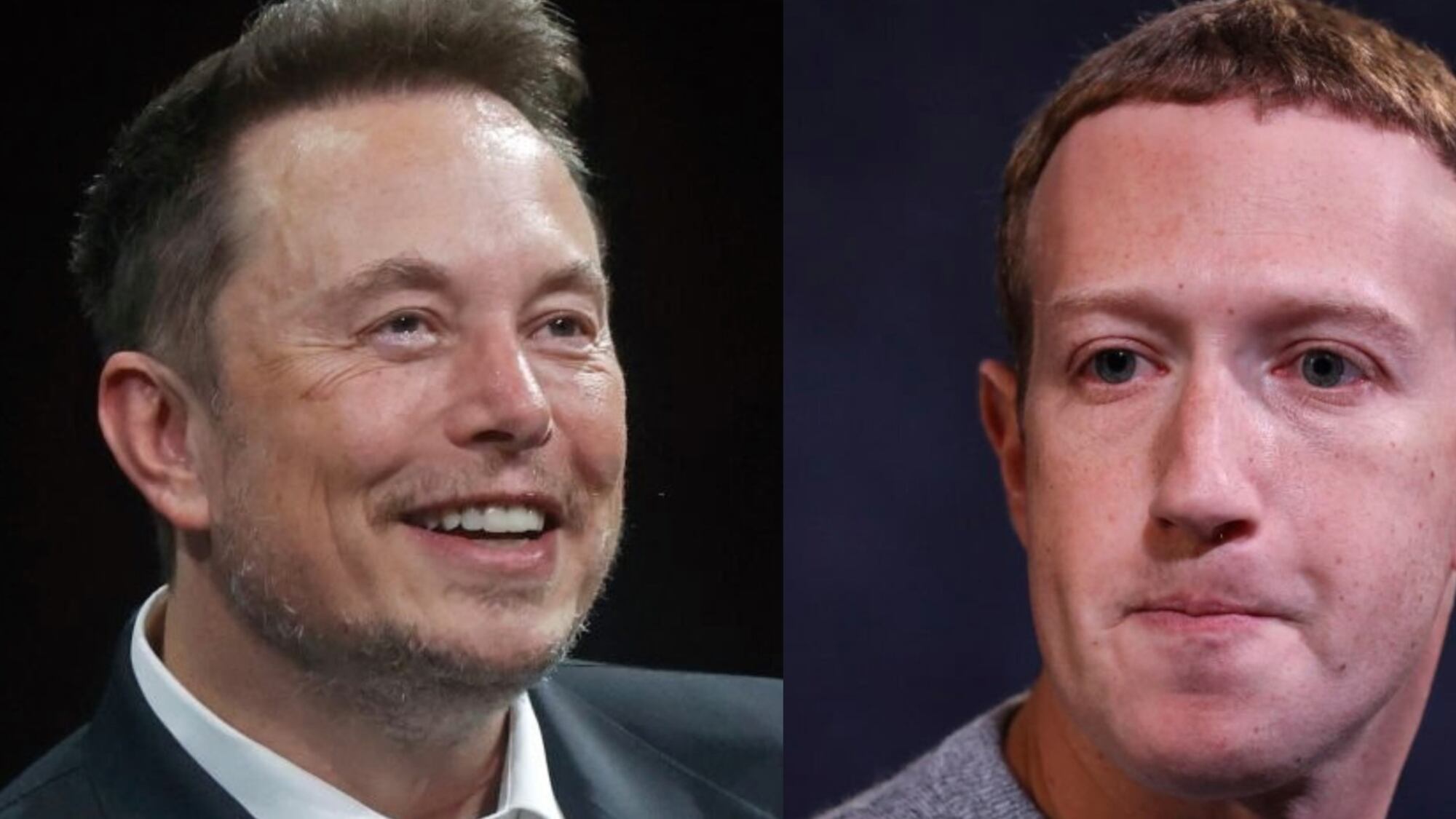 Elon Musk vs Mark Zuckerberg