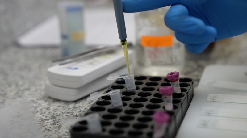 Acciones y toma de muestras ante la gripe aviar en Galápagos