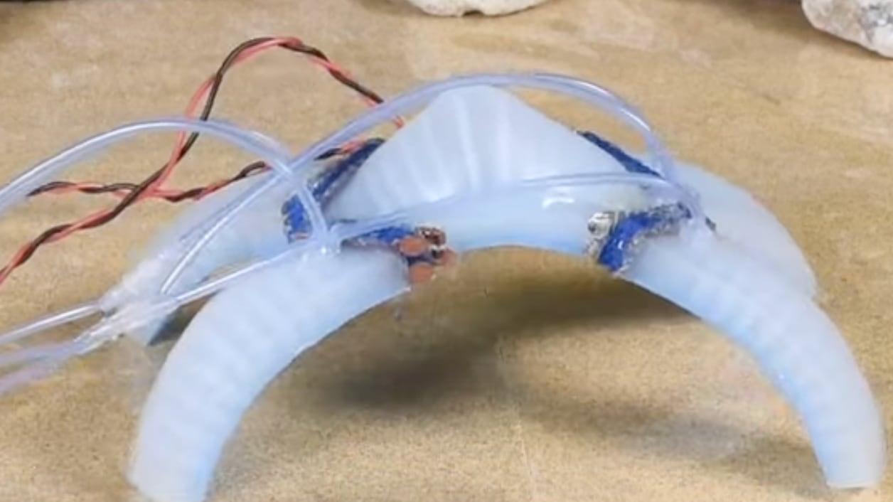 La robótica continúa evolucionando, inspirándose en la naturaleza para resolver desafíos complejos.