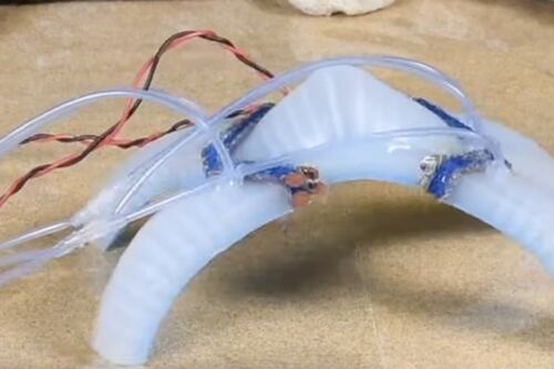 Máquinas que se autoamputan y fusionan con otras: ¿Es esta la próxima frontera de la robótica?