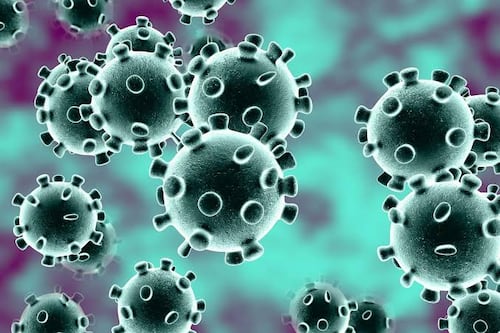 Coronavirus: primer caso de la enfermedad ha sido confirmado en México