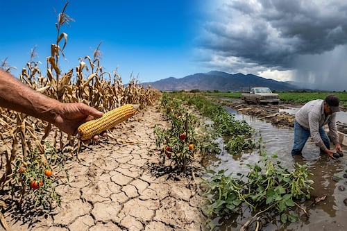 Algoritmos contra la tormenta: La IA detecta un inesperado y destructivo regreso de “El Niño” en Latinoamérica