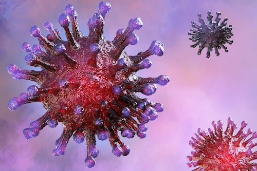 Coronavirus: todo lo que sabemos sobre la nueva cepa británica VUI-202012/01