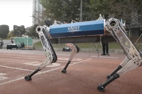 Ingenieros norteamericanos explican por qué los robots todavía no pueden correr más rápido que los seres vivos