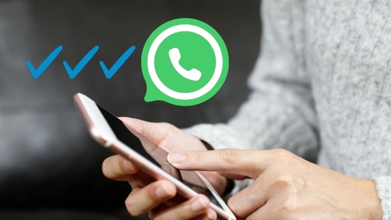 Whatsapp - Triple Check Azul | Composición
