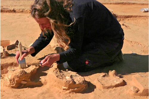 Arqueólogos británicos encuentran un pozo de la Edad de Bronce, que revela cómo era la vida campesina hace 4.000 años