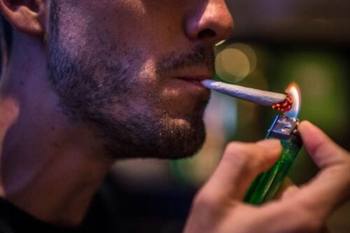 Científicos aseguran que el consumo de cannabis puede representar riesgos cardíacos en menores de 50 años